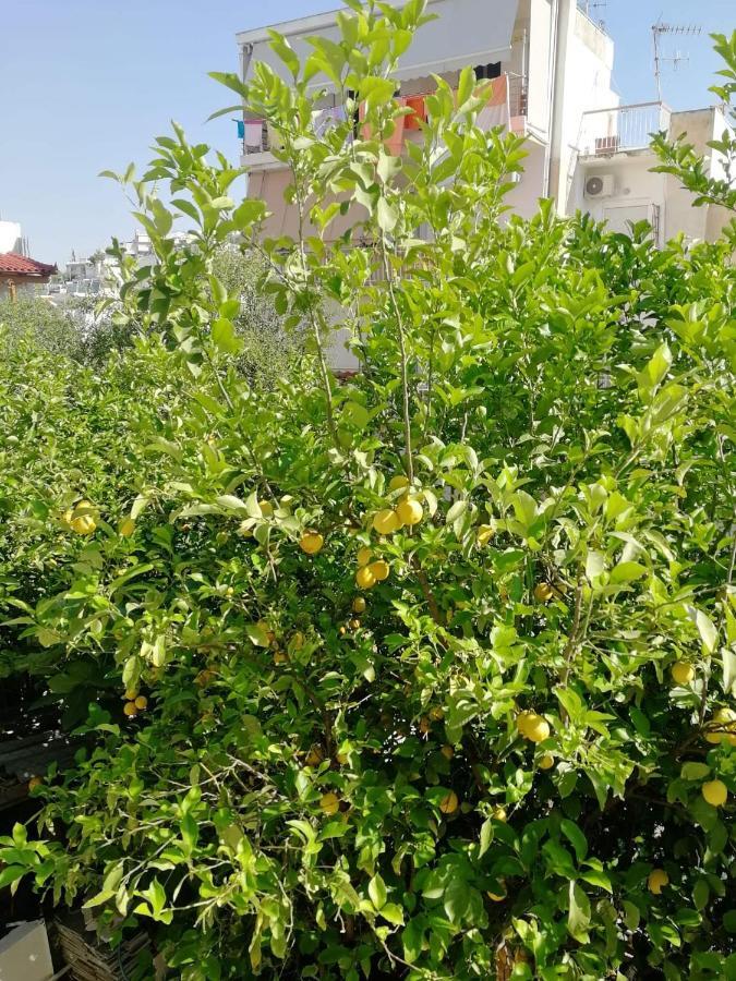 Lemontree Apartment Атина Екстериор снимка